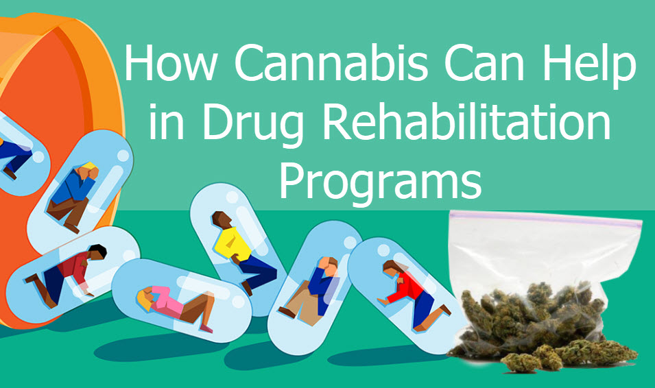 CANNABIS FOR DRUG REHAB PROGRAMS